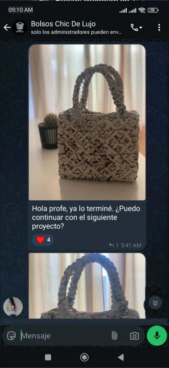 Tetimonio Bolso Chic de lujo 2