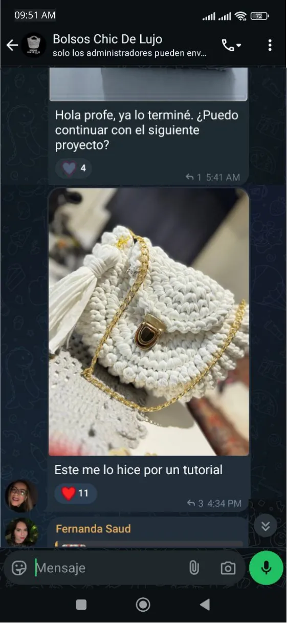 Tetimonio Bolso Chic de lujo 3