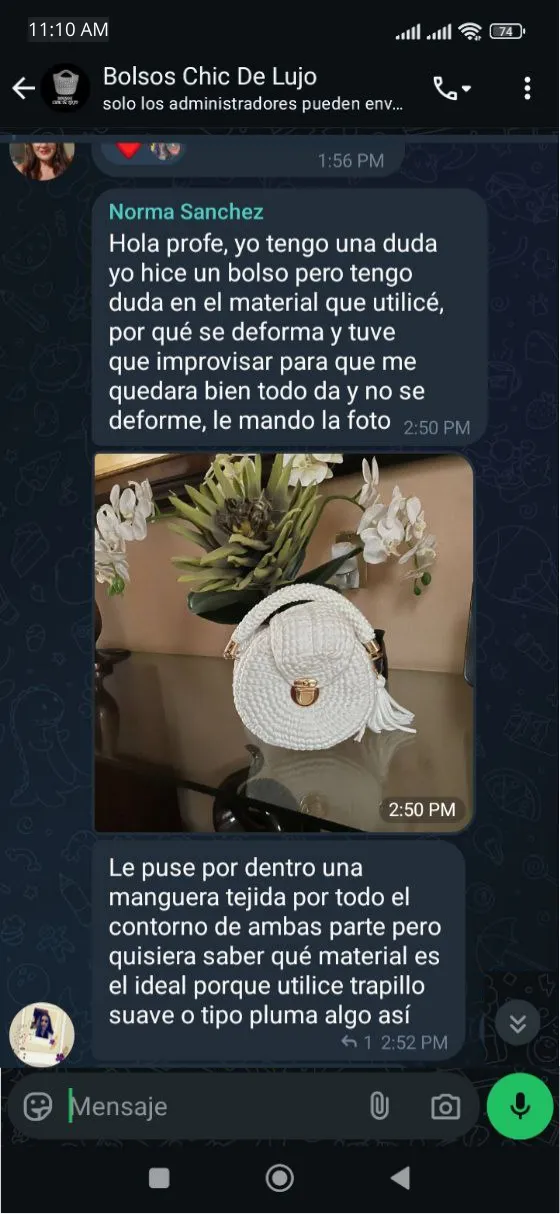 Tetimonio Bolso Chic de lujo 4