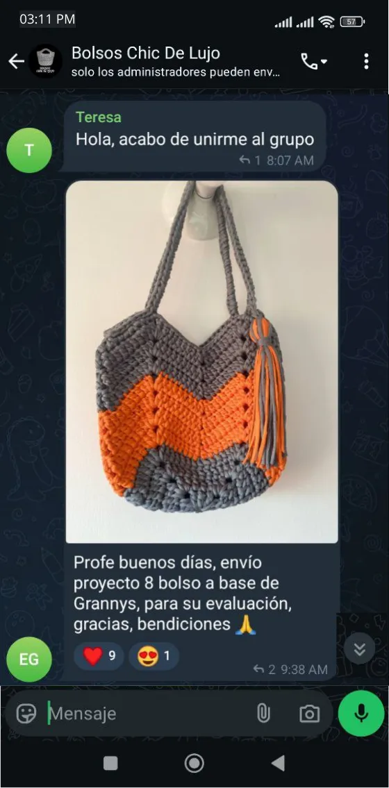 Tetimonio Bolso Chic de lujo 6